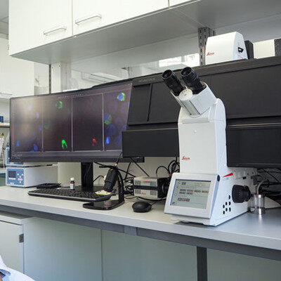 显微镜在病毒学中的应用