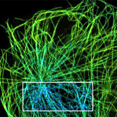 TauInteraction——TauSense新成员，研究分子间相互作用
