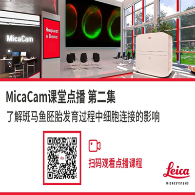 MicaCam课堂 第二集 | 了解斑马鱼胚胎发育过程中细胞连接的影响