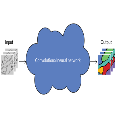 直播预告：训练深度学习模型？着手前的预备工作