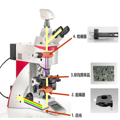 直播回顾 ：光学显微镜在地质分析中的应用