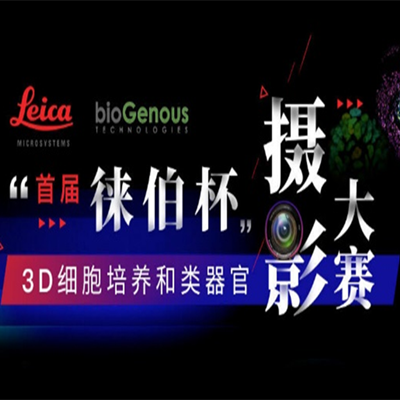 徕伯杯3D细胞培养和类器官摄影大赛网络投票正式开启