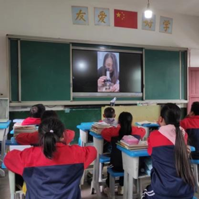 徕卡“微什么学院”YY来袭 |「盲盒里的好奇心」显微镜系列CUT