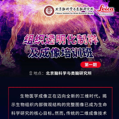 组织透明化制样及成像培训班——第一期