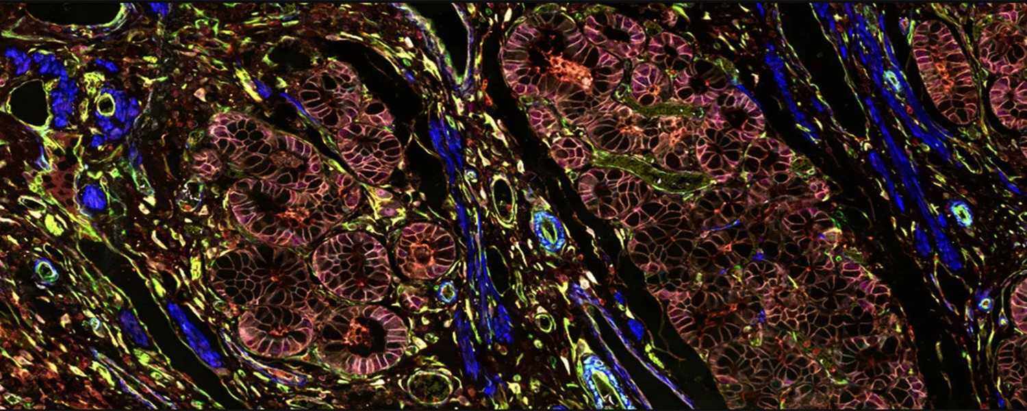 空间生物学正在改变生物学研究的格局