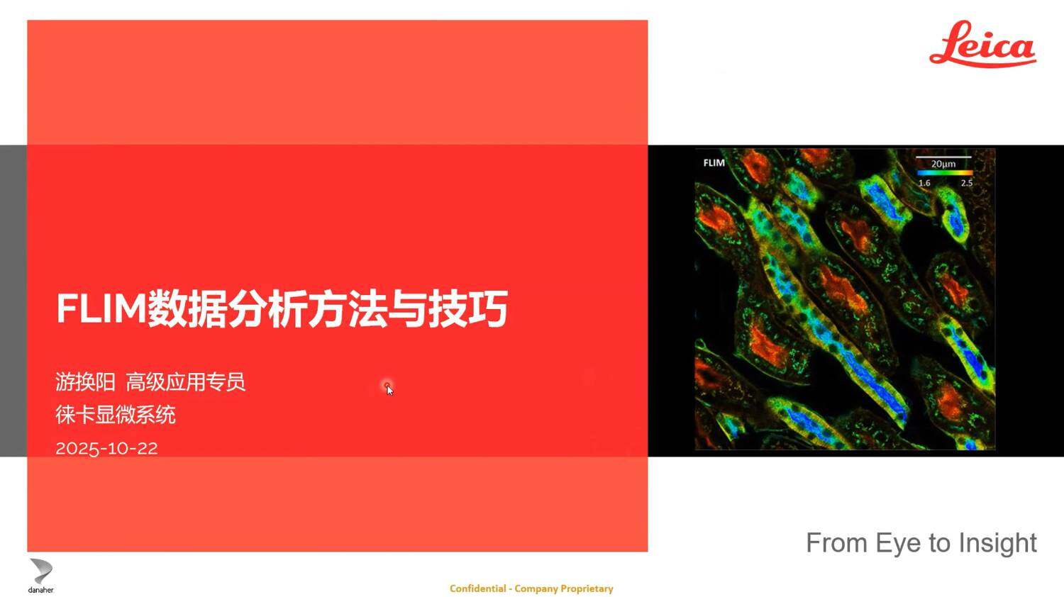 FLIM数据分析方法与技巧