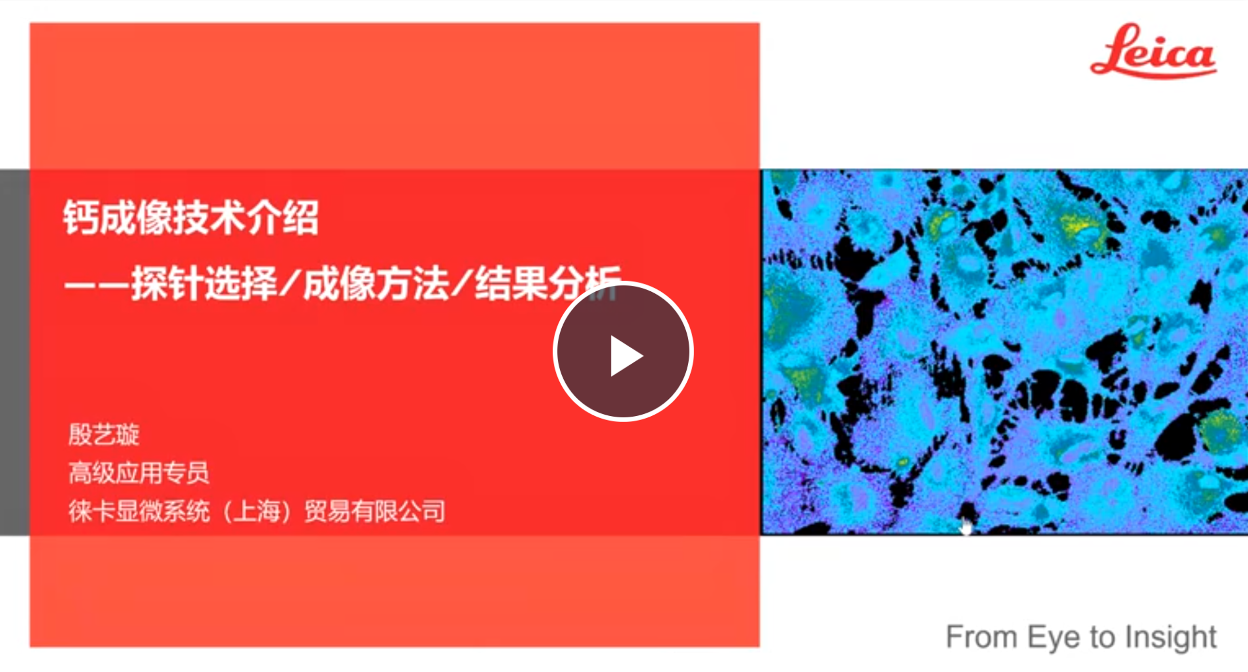 钙成像技术介绍—探针选择/成像方法/结果分析
