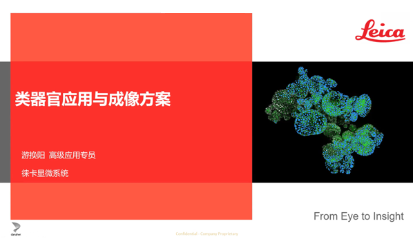 类器官应用介绍
