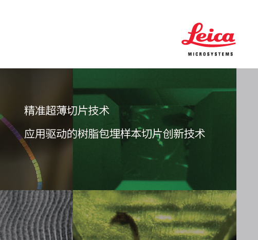 《精准超薄切片技术——应用驱动的树脂包埋样本切片创新技术》应用合集