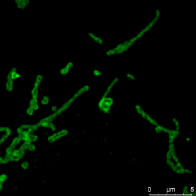“共聚”新港 扬帆起航