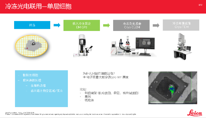 直播回顾丨多维度细胞生物学显微成像解决方案